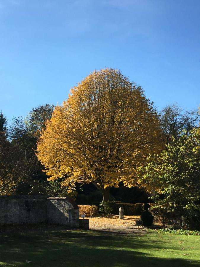 Manoir De L'Aumonerie Villa Saint-Martin-de-Boscherville Luaran gambar